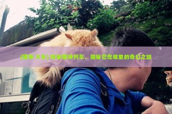 (猫咪 火车) 探秘猫咪列车，揭秘它在哪里的奇幻之旅