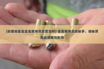 (妖魔哪里走全金属弹壳百度百科) 全金属弹壳奥秘多，揭秘其背后故事与影响