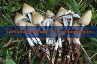 (口袋苍穹官网) 探秘热门手游——正版口袋苍穹是如何炼成的